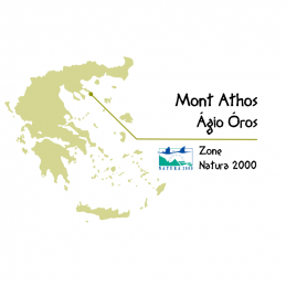 Sauge Séchée Bio de Grèce 20gr- Alpha Omega