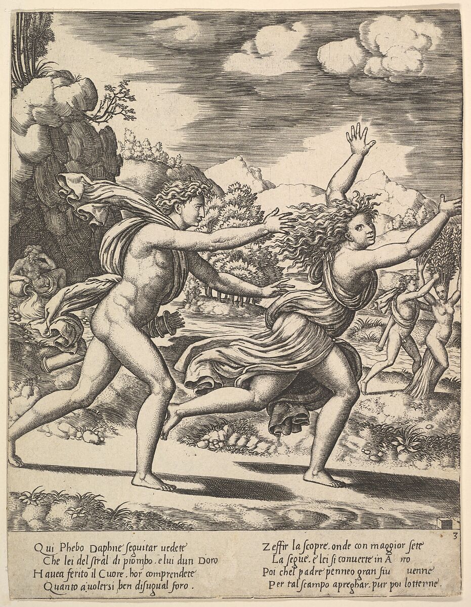 Apollon chassant Daphné, Peruzzi, 1530-1560