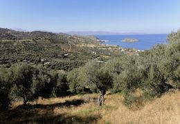 Ev Zin n°3 - Novembre 2021 | Une balade en Crète