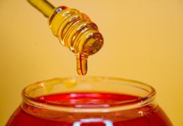 Ev Zin n°28 - Décembre 2023 | le miel grec, nectar des dieux, trésor des Hommes